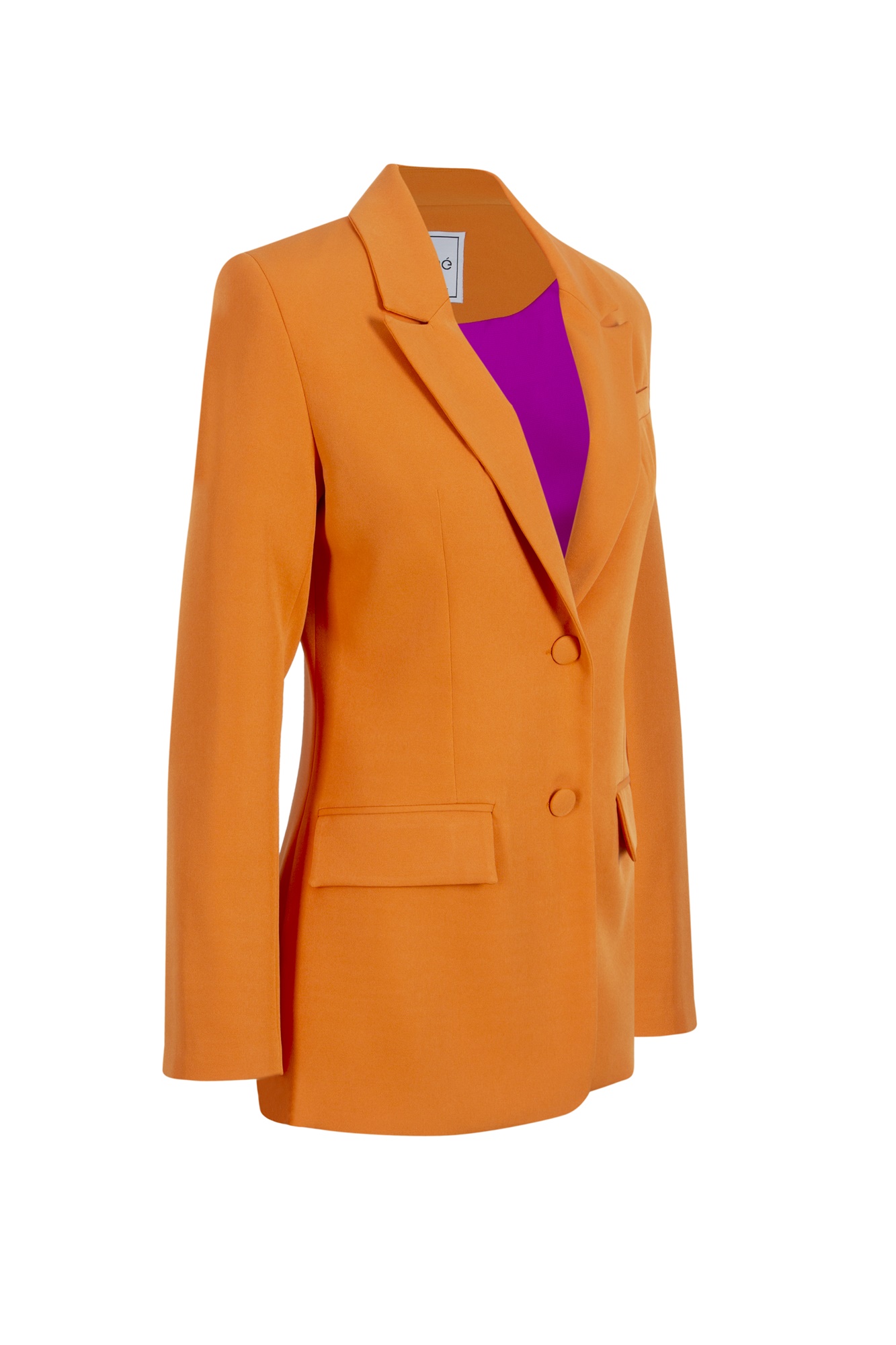 Rosa Blazer 2 Rosa Blazer - Görsel 2