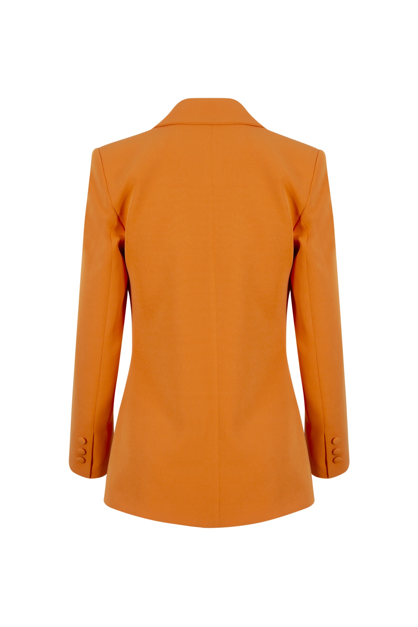 Rosa Blazer 3 Rosa Blazer - Görsel 3