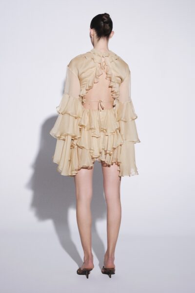 Alternative view of Nassima Mini Dress