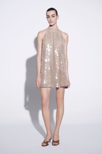 Sable Mini Dress